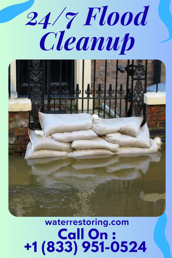 24/7 Flood Cleanup in State Line, MS