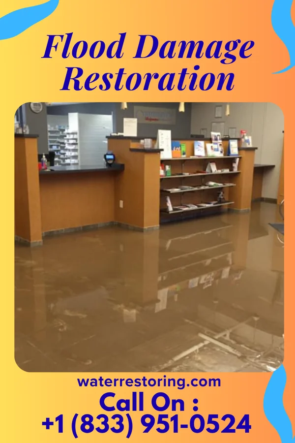 Flood Damage Restoration in State Line, MS