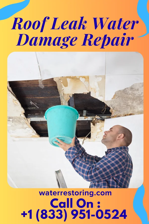 Roof Leak Water Damage Repair in State Line, MS