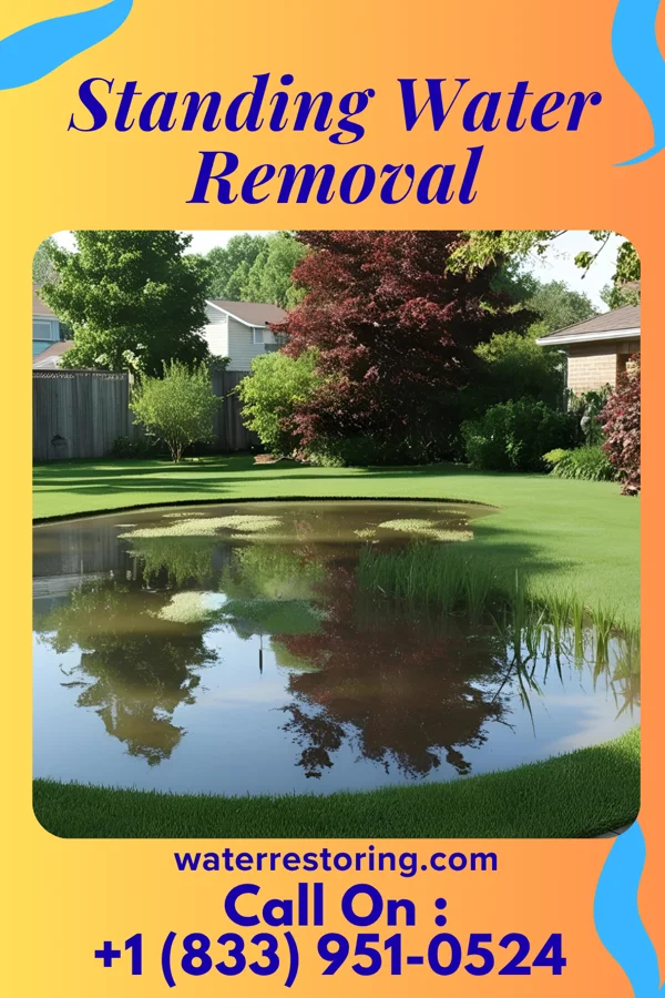 Standing Water Removal in State Line, MS